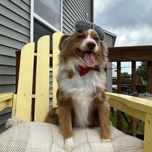 Meet your Posher, Julie